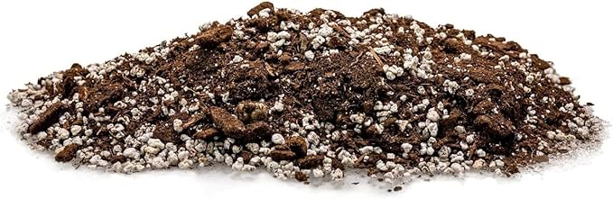Palm Tree Potting Mix - The Ultimate Soil for Strong and Healthy Palms - Top Choice for Palm Tree Growers [5 Quart Bag]