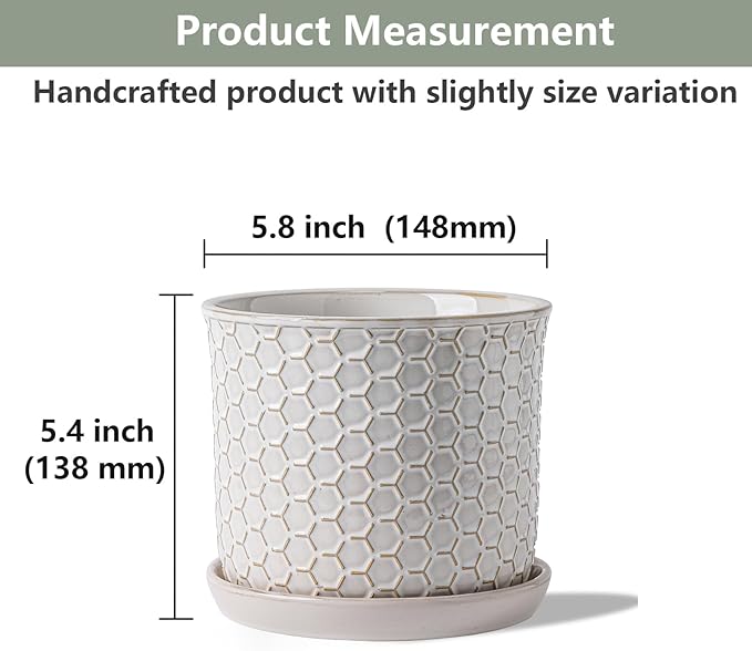 5.8 Inch Plant Pot: Ceramic Planter with Drainage Hole & Saucer - Flowerpot for Indoor & Outdoor Plants with Separate Tray for Home & Office - Honeycomb Design, Cream White