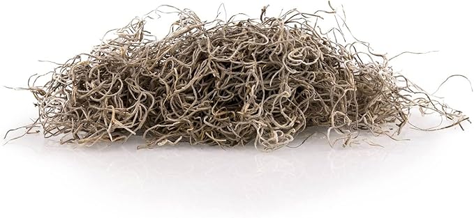 Premium Natural Spanish Moss | Natural Preserved - Great Ground Cover - Filler for Potted Plants - by GARDENERA - 2 Quart Bag