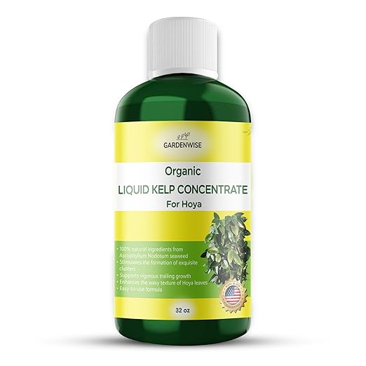 Organic Premium Kelp Seaweed Concentrate for Hoya - Liquid Fertilizer - Liquid Plant Food - Nutrient-Rich Soil Enhancer - Natural Plant Food for Hoya Plant (32 OZ), OLKC-15