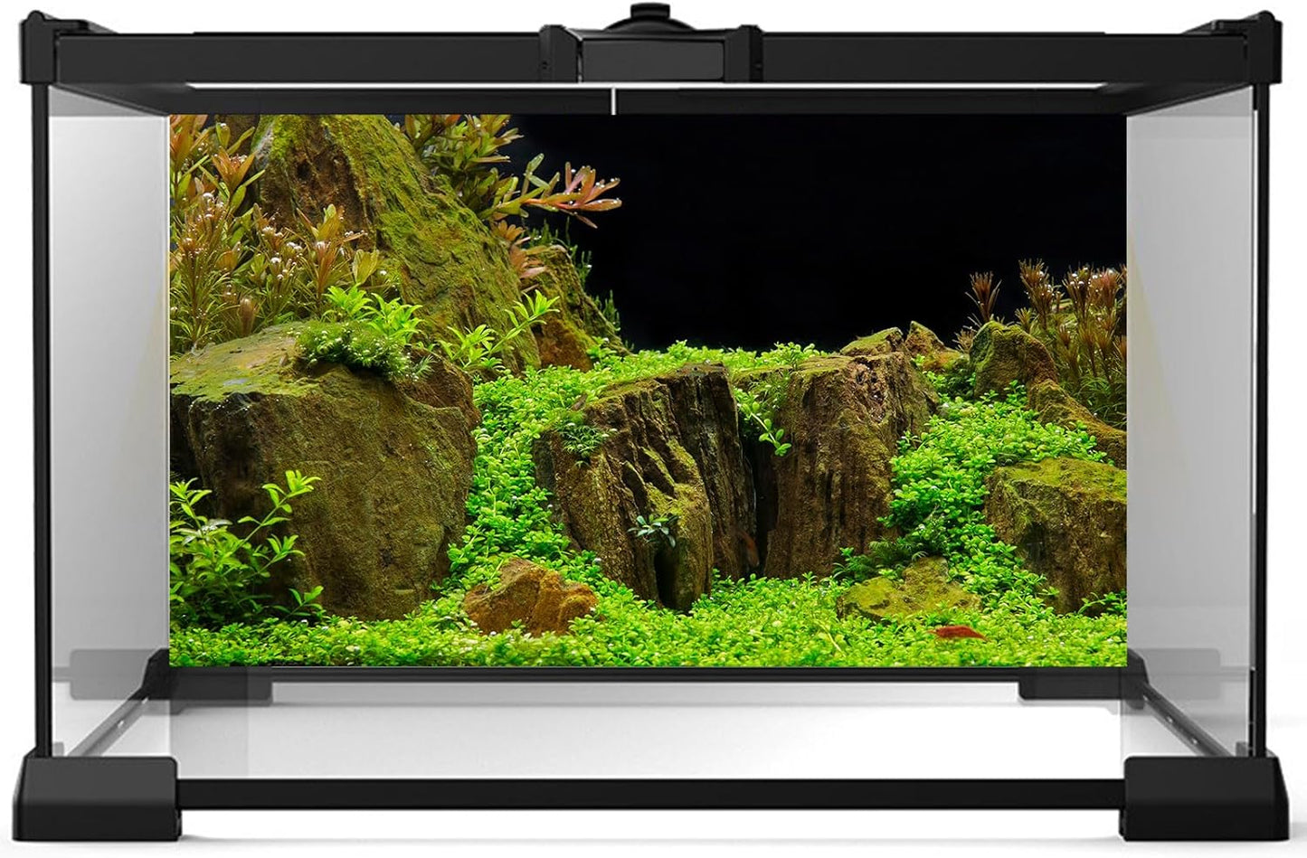 Aquarium Background Exquisite Underwater Grass with Moss Aquarium Backdrop Mysterious Stone Aquarium Background Durable Vivid and Fresh Leaves Background Tank Backdrop Decor Vinyl 24x12in