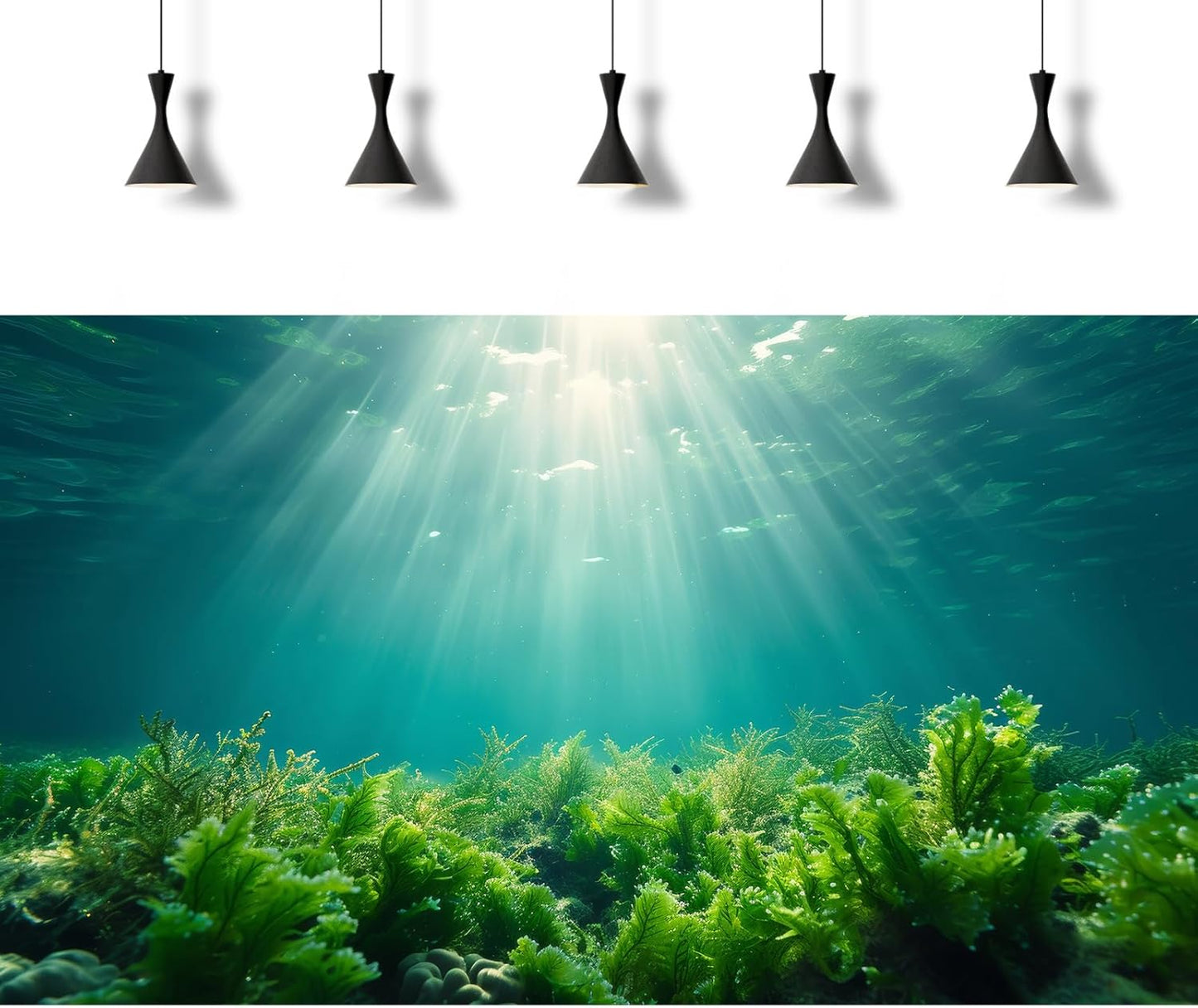 Deep Ocean Fish Tank Background Under The Sea Aquatic Plants Aquarium Background Underwater Corals Sunray Terrarium Backgrounds Tropical Fish Ocean World Aquarium Backgrounds Decorations 36x24in