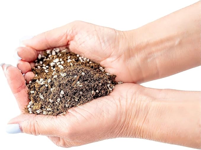 Premium Jade Plant Potting Soil Mix - (3 Quart Bag)