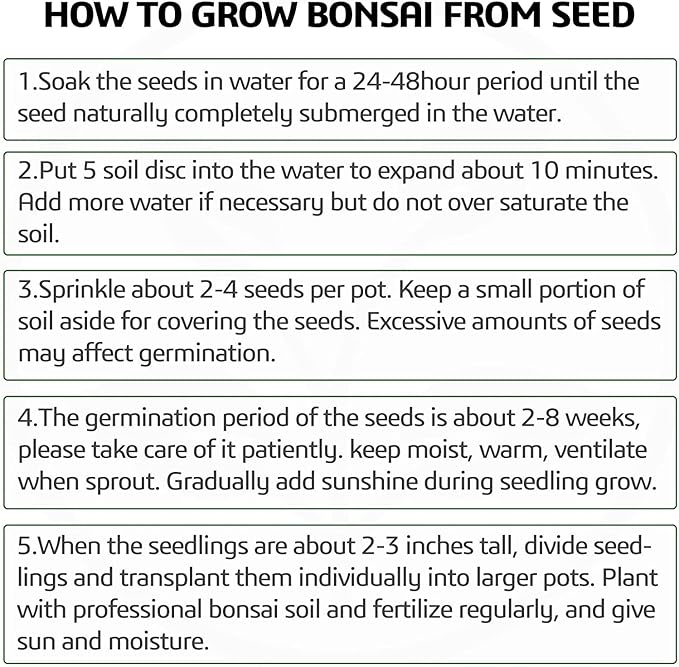 5 Bonsai Tree Kit Complete Plant Growing Tools, Grow in Pot Indoor Bonsai Tree Starter Kit, Great Home Gardening Potted Plants DIY Gift for Adults