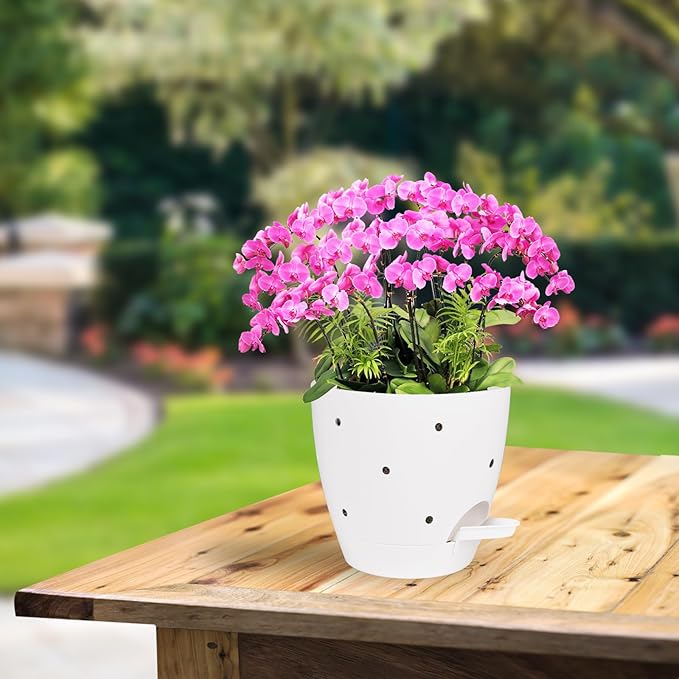 6 Inch Orchid Pots with Holes, 2 Pack Self Watering Planters for Orchids Plastic Orchid Pot Plant Flower Pots for Orchids Indoor Outdoor (White)