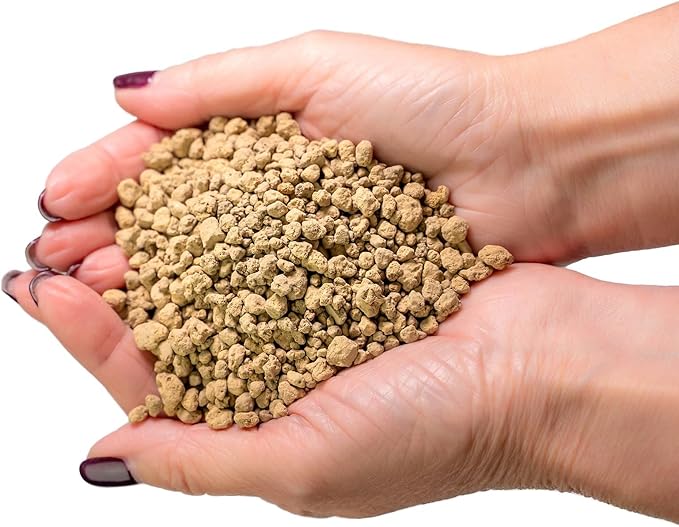Japanese Hyuga Pumice - Premium Additive for Orchid & Bonsai Tree Soil |Professional Imported Sifted and Ready to Use (5 Quart Bag)
