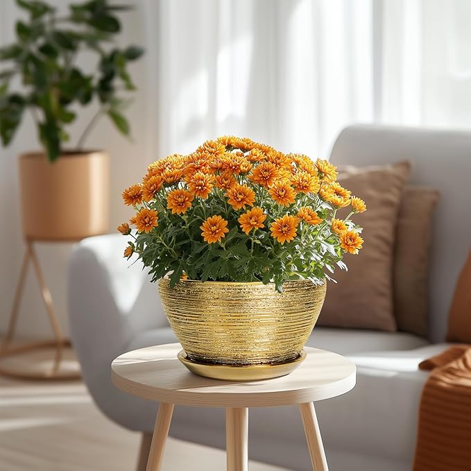Ceramic Plant Pot Indoor - 9 Inch Planters for Outdoor Plants Decorative Plant Pot with Drainage Hole and Saucer Round Planter Modern Flower Pot Decorative for House Decor Gold