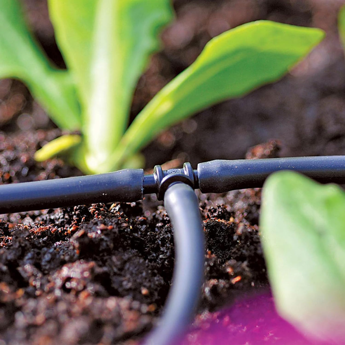 1/4 inch Drip Irrigation Tubing, 16FT Blank Distribution Tubing Drip Irrigation Hose, Garden Watering Drip Line for DIY Drip Irrigation System