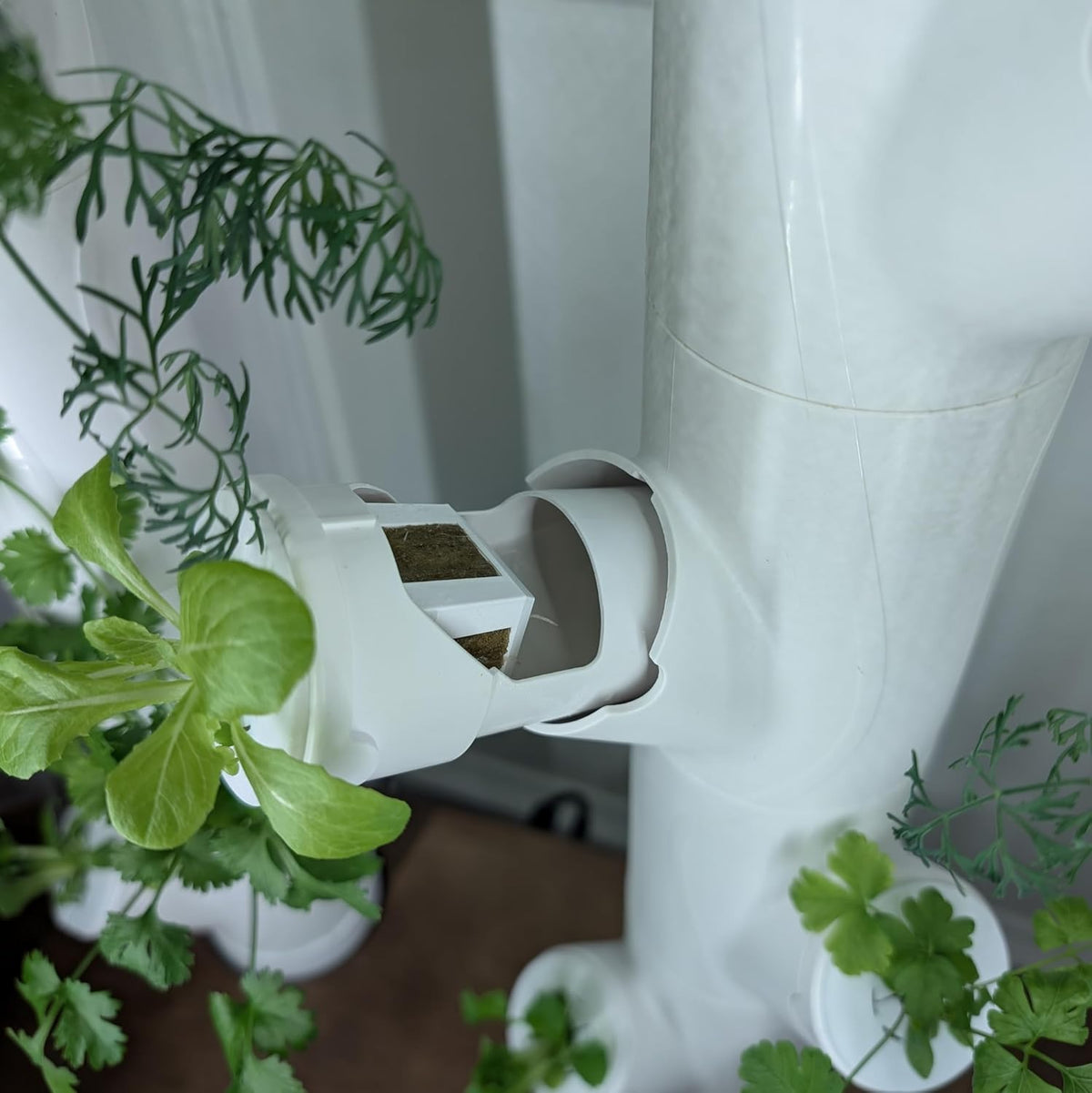 Grow Cubes for Hydroponic System/Compatible with Gardyn (10 Grow Cubes)