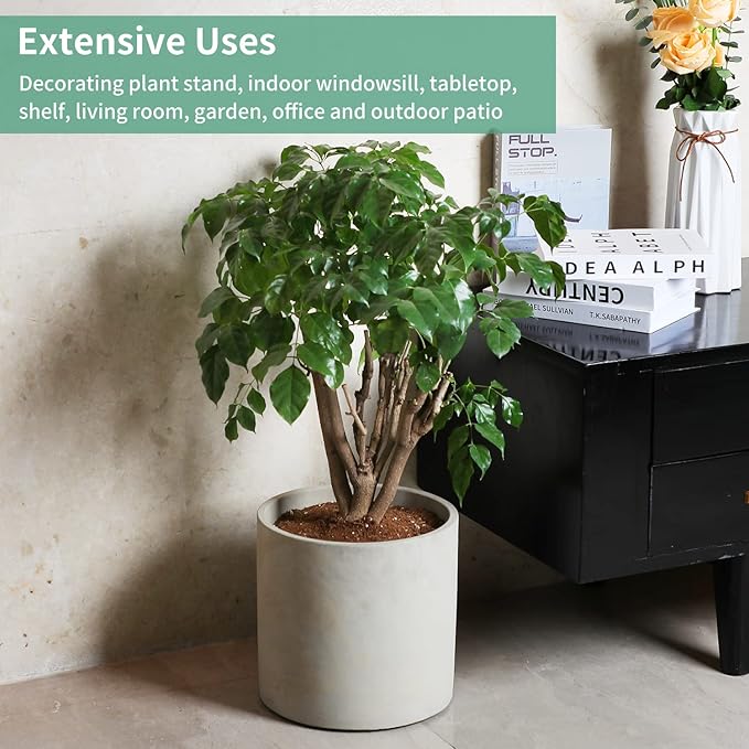 Mozing Cement Plant Pots Indoor - 5.9 inch Concrete Planter Pot for Planting - Modern Stone Clay Flower Pot with Drainage Hole for Garden, Home, Office Decor, Grey