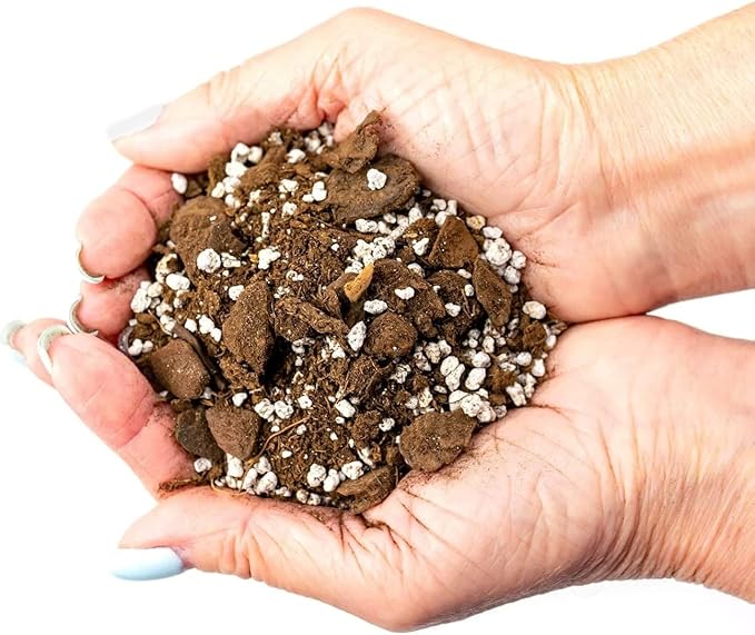 Premium Aloe Vera Potting Soil Mix - (5 Quart Bag)