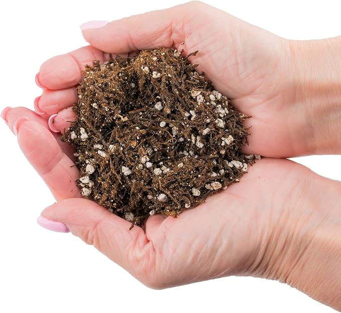 Fern + Perlite Soil Mix for Repotting and Planting Succulents and Cactuses - 3 Quart Bag