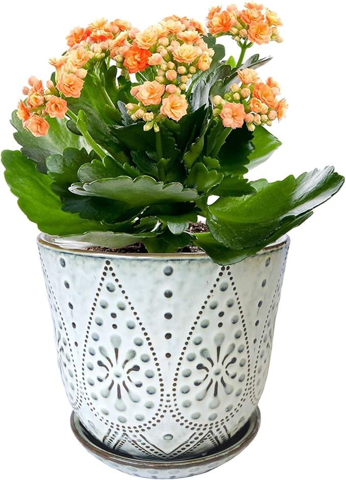 Gepege 6 Inch Beaded Ceramic Planter Set of 2 with Drainage Hole and Saucer for Plants, Indoor-Outdoor Large Round Succulent Orchid Flower Pot (Smoked Gray, Inner-pots not Larger Than 5 Inch)