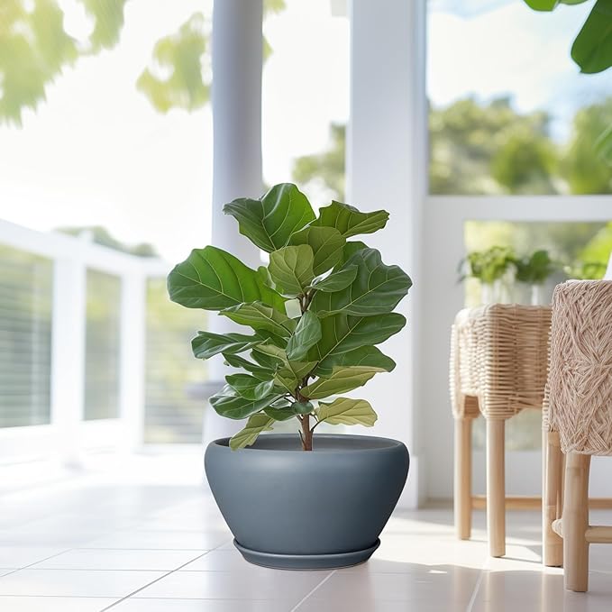 Ceramic Planter - 13 Inch Planter for Indoor Plants Large Plant Pot with Drainage Hole and Saucer Round Outdoor Planter Modern Flower Pot for Home Decor Gray