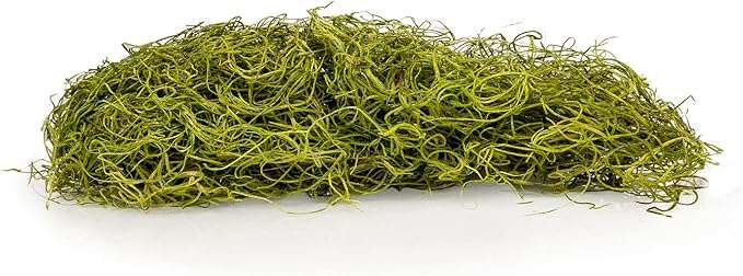 Premium Spanish Moss in Spring Green| Natural Preserved - Great Ground Cover - Filler for Potted Plants - by GARDENERA - 5 Quart Bag