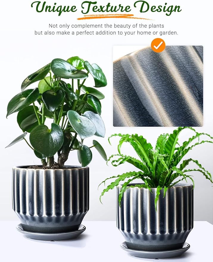 AISBUGUR Plant Pots 6 inch Ceramic Pots for Indoor Plants Set of 2 Flower Pots Unique Crackle Glaze Design Plant Pots with Drainage Hole and Saucer Come with Drainage Nets (Grey)