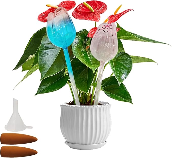 2 PC Glass Water Globes for Plants, Self-Watering Plant Device Plant Watering Globes Tulips Insert Spikes Drip Devices for Indoor & Outdoor Plants