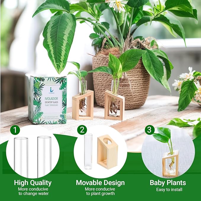 Ivolador Plant Propagation Station, Plant Propagation Tubes,Gifts for Plant Lovers,Plants Cutting Holder Office Desk Garden Décor Gifts for Mom Women Hydroponic Vase Gift Box