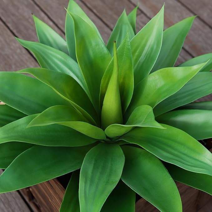 Artificial Plants Fake Agave Succulent Plant 28 Inch Big Size Faux Succulents Stems for Indoor Outdoor Realistic & Natural Home Decor Plants for Office Housewarming 2 Pack