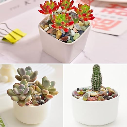 5LB Colorful Pebbles for Succulent, 3/8 Inch Natural River Rocks for Plants, Natural Decorative Polished Pebbles for Cactus,Vases, Planters,Outdoor Gardening and Indoor Plants
