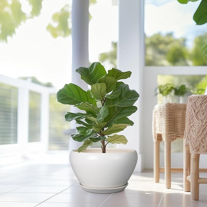 Planter for Indoor Plants 13 Inch - Ceramic Plant Pot with Drainage Hole and Saucer Decorative Round Large Planter Pot for Plants Outdoor Flower Pot for Room Decor White