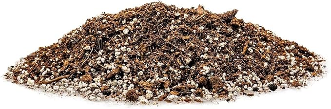 Spearmint Plant Potting Soil - All-Natural Blend for Thriving Spearmint Plants - Boosts Root Health and Aroma - 10 Quart