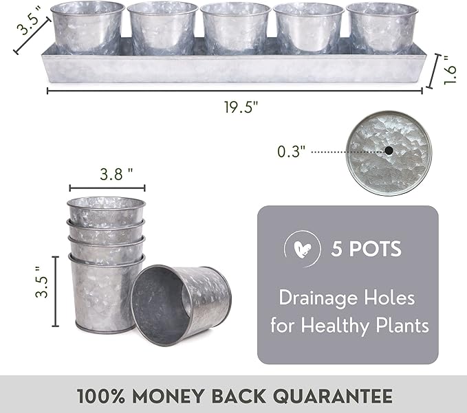 SCANDINORDICA Galvanized Metal Herb Planter, 5 Pots with Drainage Holes, Indoor Outdoor Use, Farmhouse Decor, 19.5x3.9x3.5 inches