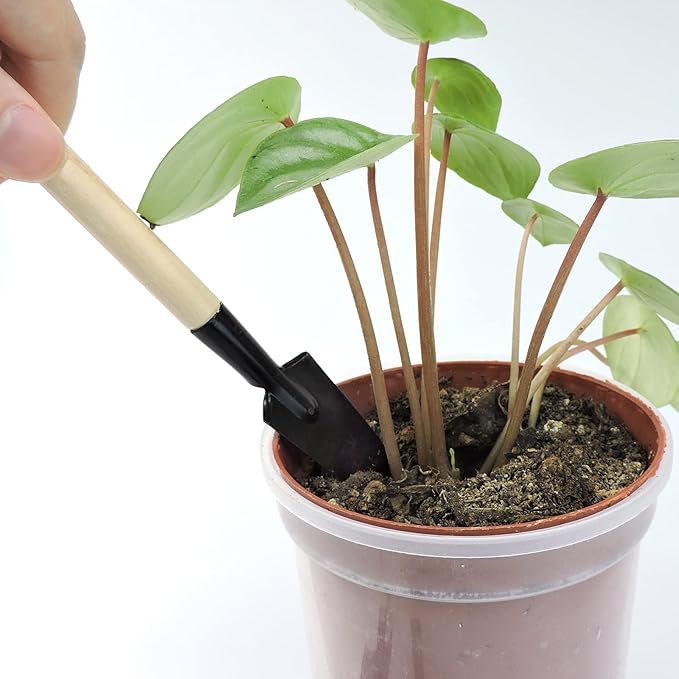 Andiker Mini Gardening Tools, 3pcs Portable Garden Hand Tools Set, Miniature Gardening Rake Trowel and Shovel for Seedlings, Bonsai, Succulents, Herbs, Terrariums and Planting (3pcs)