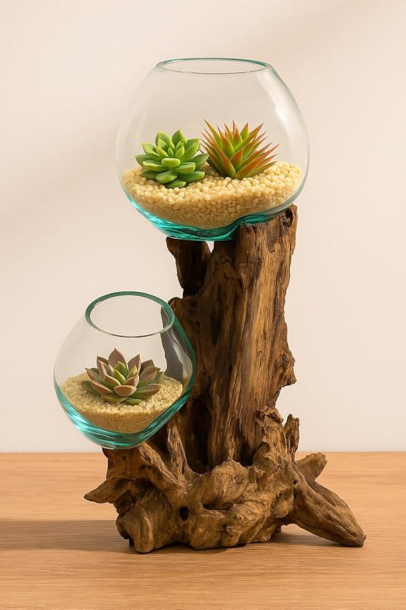 Cape Craftsmen 12" H Hand-Blown Blue Tinted Bubble Glass On Natural Teak Driftwood Terrarium | Home Décor Indoor Planter with Stand | Pot for Succulent and Plants
