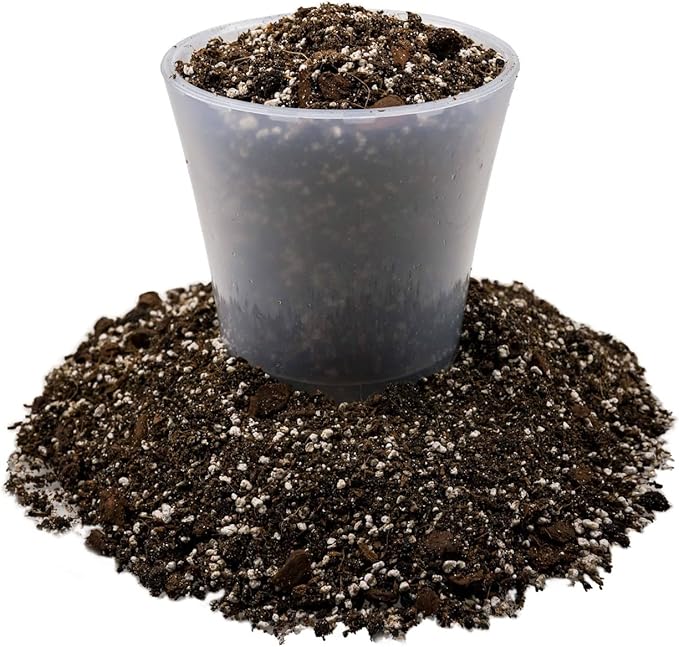 Fiddle Leaf Fig House Plant Soil Premium All Purpose Blend - Peat Moss, New Zealand Bark, Coco Chips and Fibers, Perlite - 3 Quart Bag