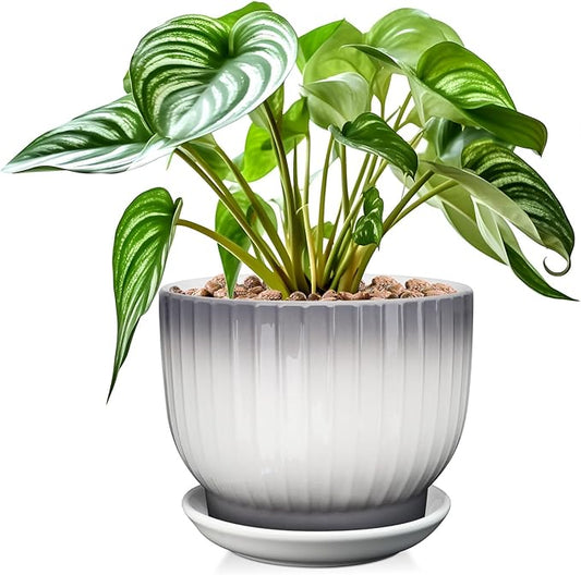 8 Inch Plant Pot, Ceramic Planter with Drainage and Saucer, Ceramic Pots for Plants, Indoor Plant pots,Ceramic Flower pots(Gray + White, Plants NOT Included)