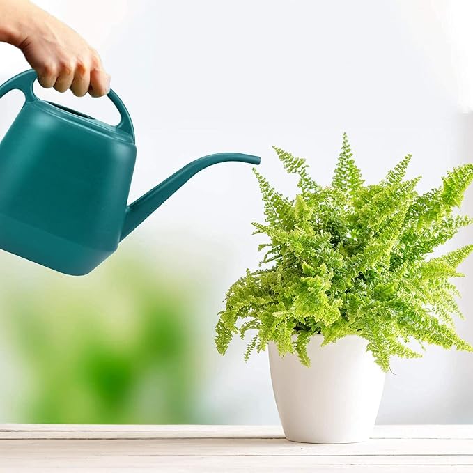 Fasmov Plastic Watering Can, 1-Gallon, Green
