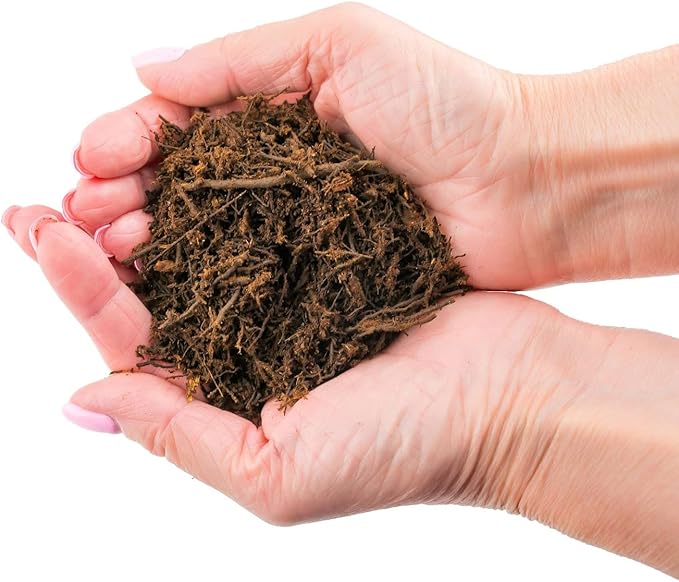 Premium New Zealand Tree Fern by GARDENERA - Orchid and Epiphytal Plants Growing Medium and Reptile Substrate - 2 Quart Bag