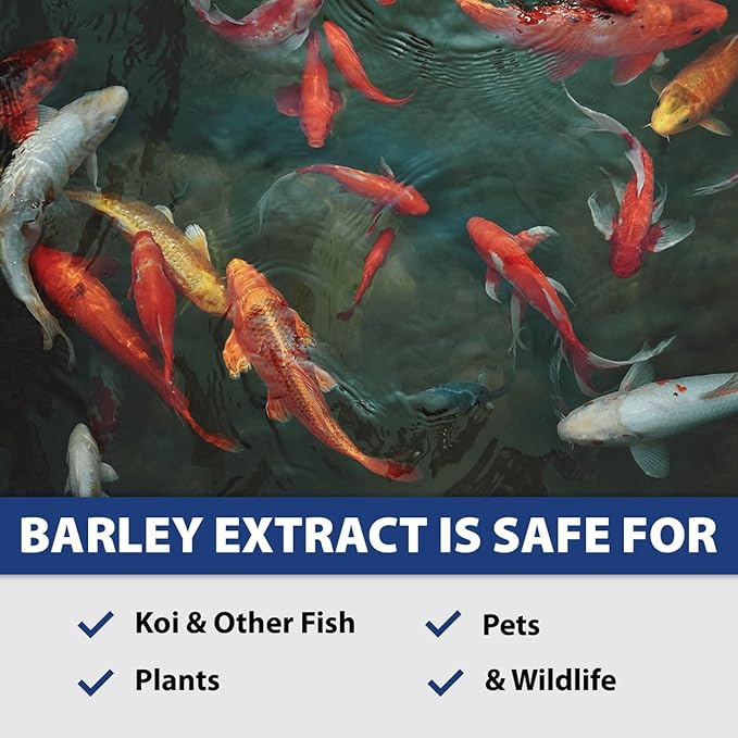 The Pond Guy Barley Extract Natural Liquid Treatment for Ponds and Water Gardens, Safe for Koi Fish and Plants, Natural Solutions for Clear Pond Water - 16 Ounces