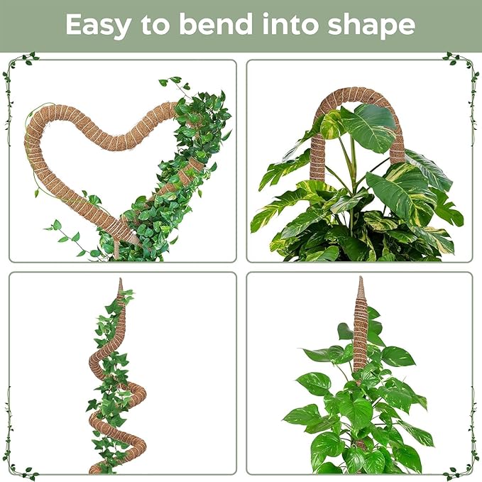 2 Pack 63'' Bendable Moss Pole Monstera Plant Support for Climbing Indoor Plants - Stakes for Potted Climbers - Tall Sticks Indoor Trellis for Houseplants - Accessories for Monstera Pot