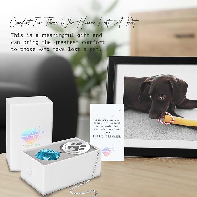 Dog Memorial Gifts, Unique Loss of Pet Sympathy Idea, Sky Blue Crystal Ball Rainbow Suncatcher with Paw Print for Cat or Dog Remembrance and Bereavement