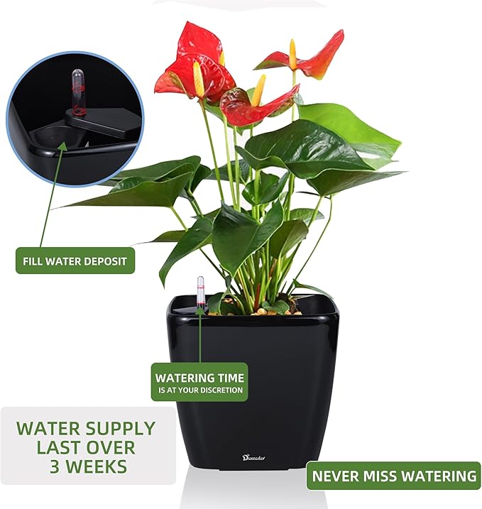 Dexceder 11x10 Self Watering Planter Indoor Outdoor, Inner Mat Design, Thickened Table Flower Plant Pot with Water Level Indicator (Black High Gloss)
