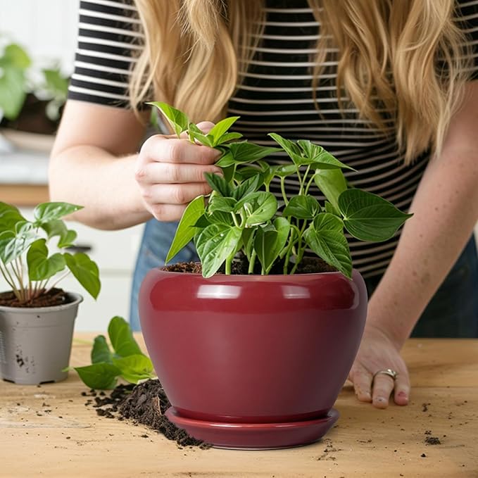 Ceramic Pot for Plants - 6 Inch Plant Pot Indoor with Drainage Hole and Saucer Succulent Pot Outdoor Planter Round Flower Pot for House Patio Decor Red