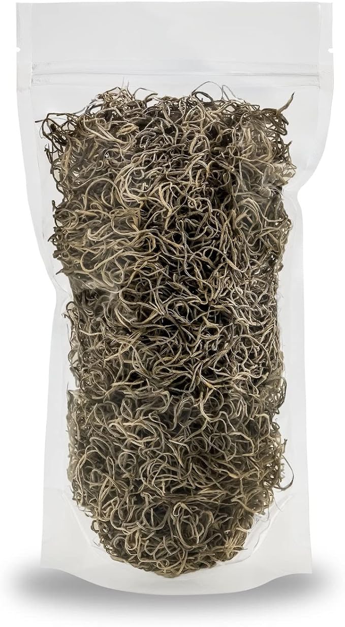 Premium Natural Spanish Moss | Natural Preserved - Great Ground Cover - Filler for Potted Plants - by GARDENERA - 5 Quart Bag