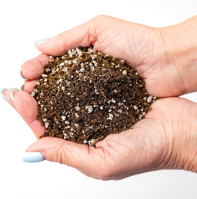 Professional Carnivorous Plant Soil - Ready to Use for Venus Flytraps, Sundews, Pitcher Plants, Butterworts | Peat Moss, Coco Coir, Perlite - 1 Quart Bag