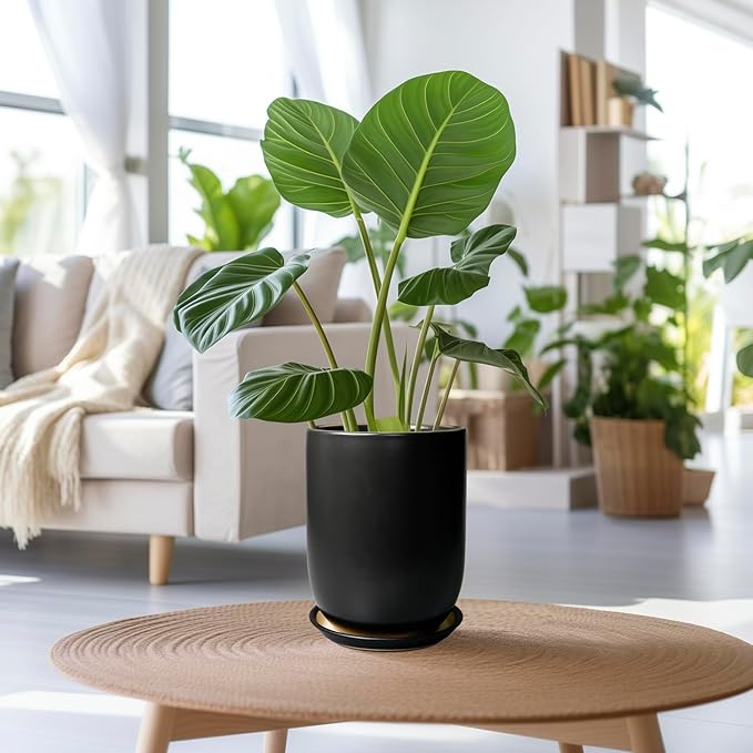 Ceramic Planter 8 Inch - Plant Pot for Indoor Outdoor Plants Cylinder Flower Pot with Drainage Hole and Saucer Black