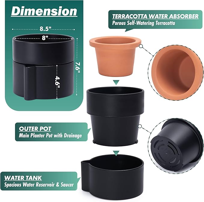 Phoenix Vine 8 Inch Self-Watering Planter Pot with Terracotta Insert, Deep Water Reservoir, and Ceramic-Alike BPA-Free Plastic Planter Pot for Plant, Modern Planter for Houseplants, Black, 53-A-T-2