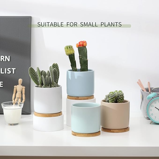 OMAYKEY Succulent Pots, 4 Inch Ceramic Planter Plant Pot with Tray, Drainage Hole & Mesh Pad for Indoor Flowers, Cactus, Herbs, Aloes - Cool Multicolor, Set of 4 (Plant Not Included)