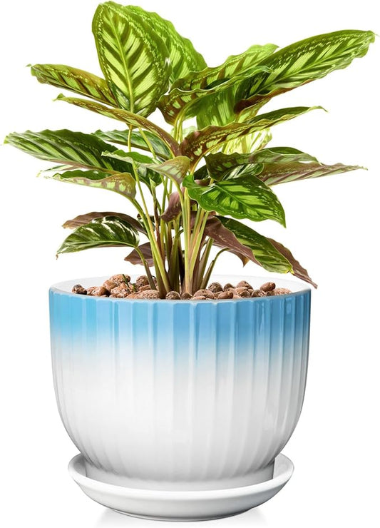 8 Inch Plant Pot, Ceramic Planter with Drainage and Saucer, Ceramic Pots for Plants, Indoor Plant pots,Ceramic Flower pots(Blue + White, Plants NOT Included)