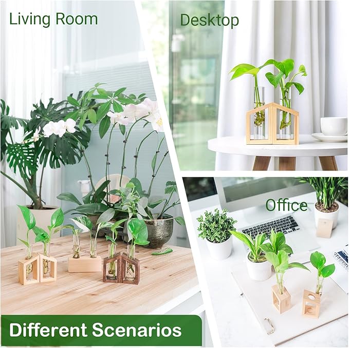 Ivolador Plant Propagation Station, Plant Propagation Tubes,Gifts for Plant Lovers,Plants Cutting Holder Office Desk Garden Décor Gifts for Mom Women Hydroponic Vase Gift Box