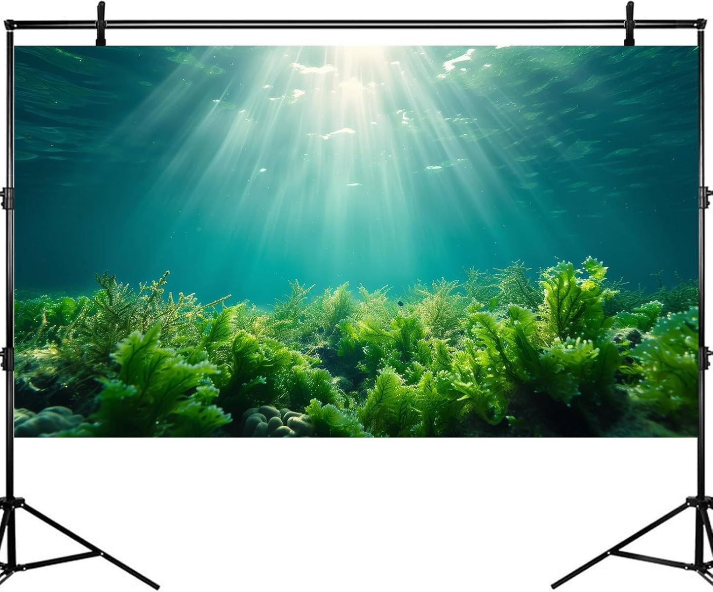 Deep Ocean Fish Tank Background Under The Sea Aquatic Plants Aquarium Background Underwater Corals Sunray Terrarium Backgrounds Tropical Fish Ocean World Aquarium Backgrounds Decorations 30x12in