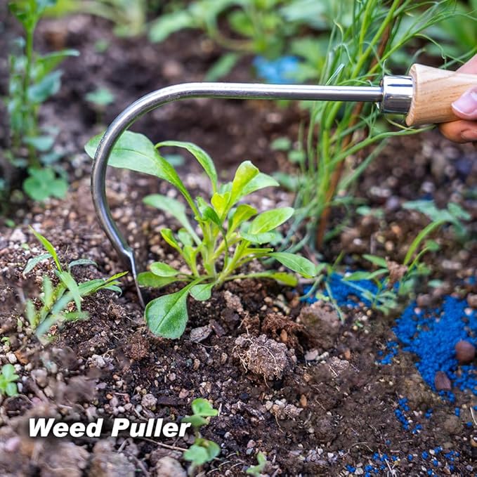Berry&Bird Weed Puller Tool, Crack Weeder Cultivator Garden Hand Tools, Durable Curved Head Hook & Wooden Handle, Garden Digging, Edging, Planting Remover Tool for Patio Lawn Yard Moss Terrace Paving