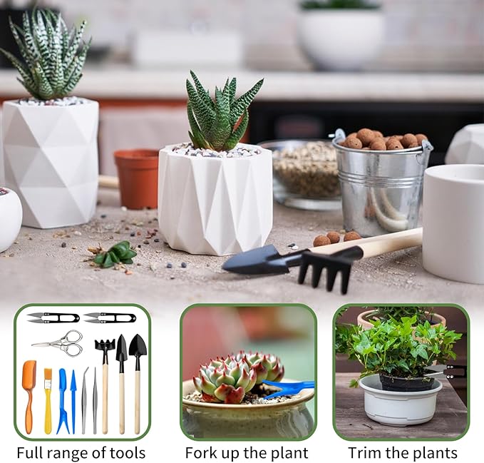 Andiker Mini Garden Tool Set, 12pcs Portable Gardening Hand Tools Set, Multiple Miniature Succulent Tools Set Easy to Carry for Seedlings, Bonsai, Succulents, Terrariums and Planting