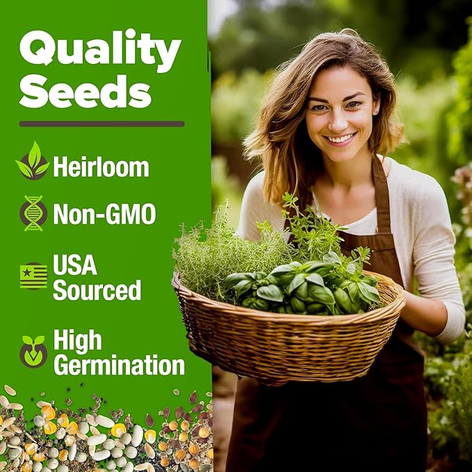 HOME GROWN 6 Herb Seeds for Planting 3,200+ Non-GMO Heirloom Seeds | Extra Large Variety Pack Herb Kit – Indoor Outdoor & Hydroponic | Culinary Seed Set | Grow Your Own Herbs | Gift for Beginners