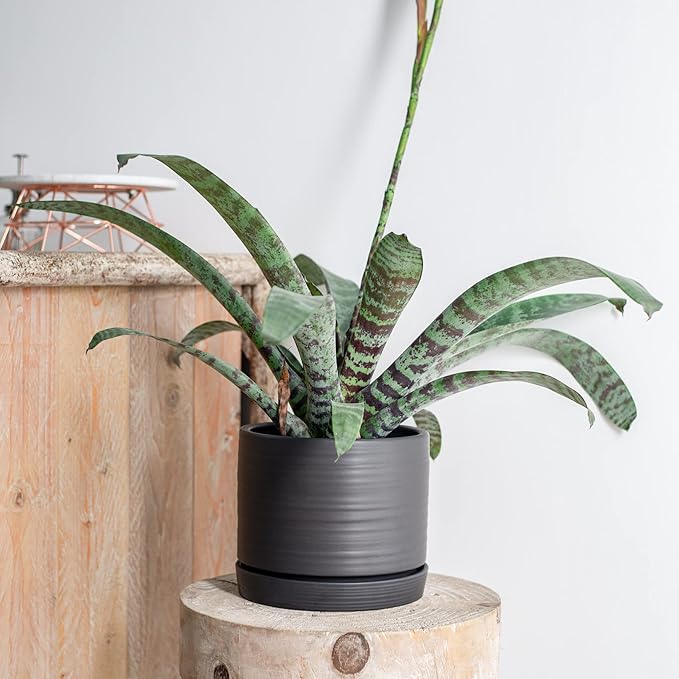 8 Inch Pots for Plants, Ceramic Planter Pot with Drainage Hole & Saucer, Indoor/Outdoor Cylinder Round Planter Pot, Matte Black